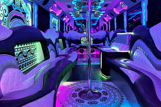 dance pole on a limo bus